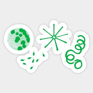 Team Phytoplankton Sticker